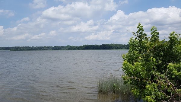 Patuxent River Park 